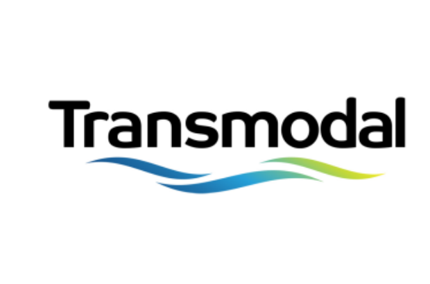 1690986166-transmodal